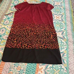 The New York & Company